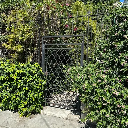 Paradis Bleu - Appt 3p Daire